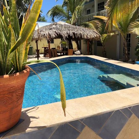 My Own Paradise Resort Bonaire 크랄렌데이크 외부 사진